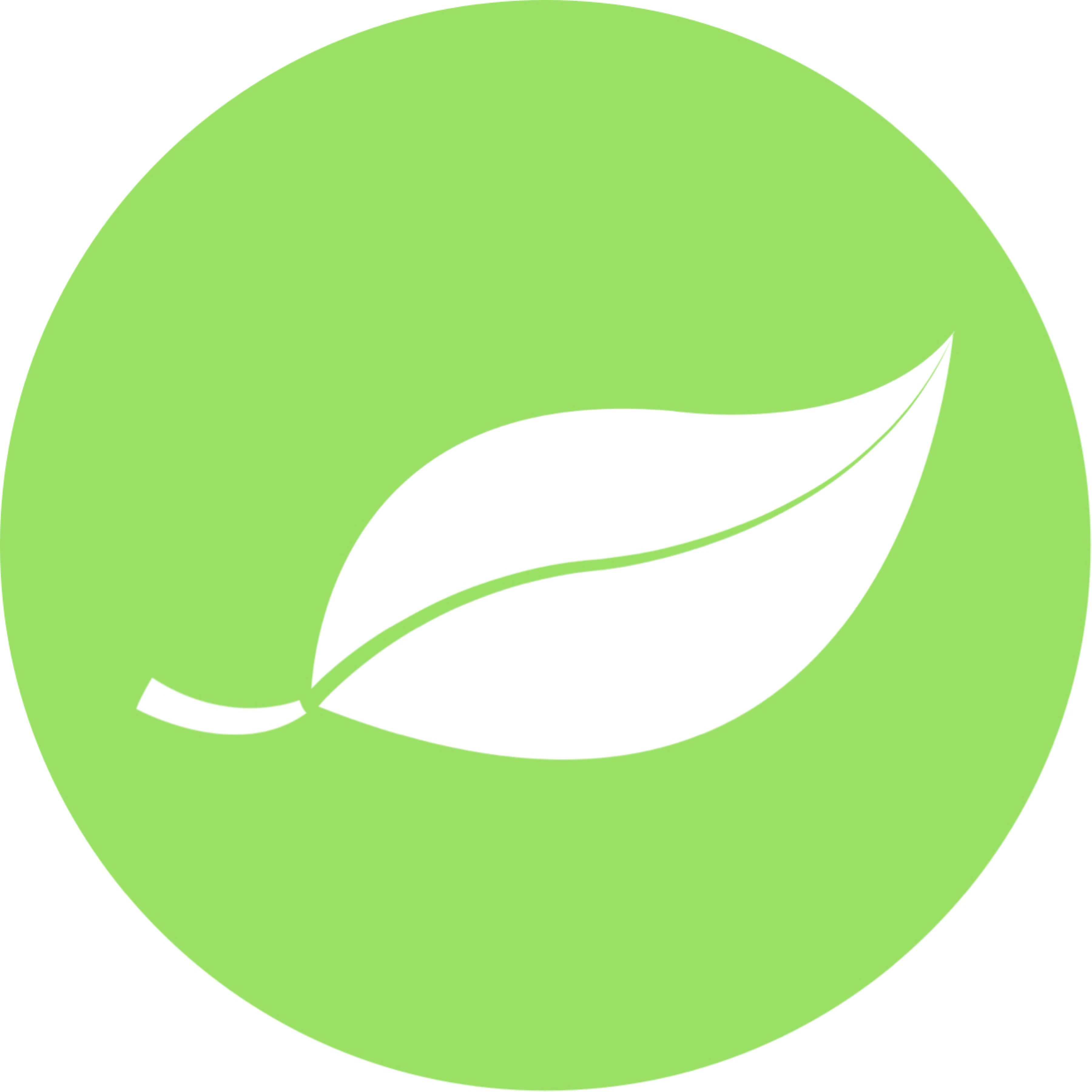 Hartie&apos;s Touch LLC Logo