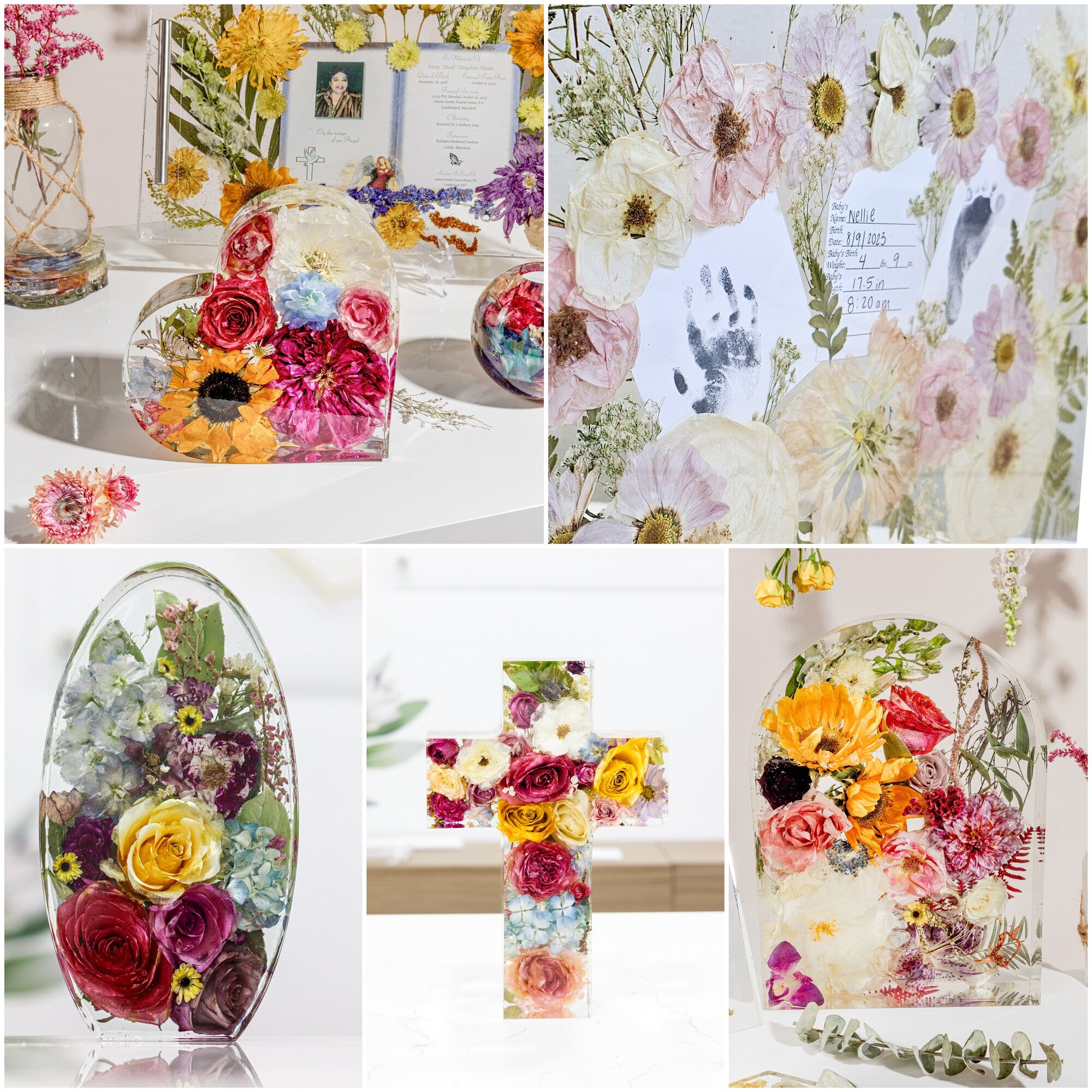 Wild Coast Flower Preservation Image