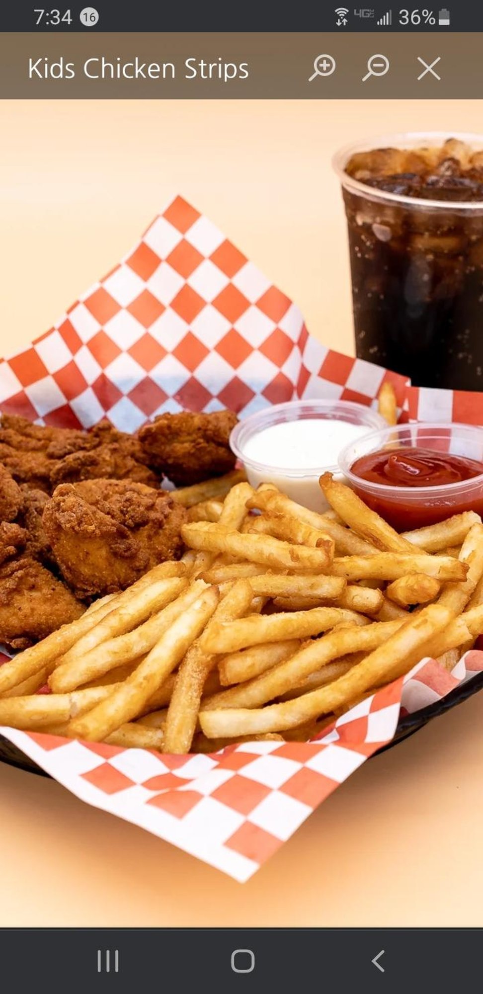 Kids Chicken Strips