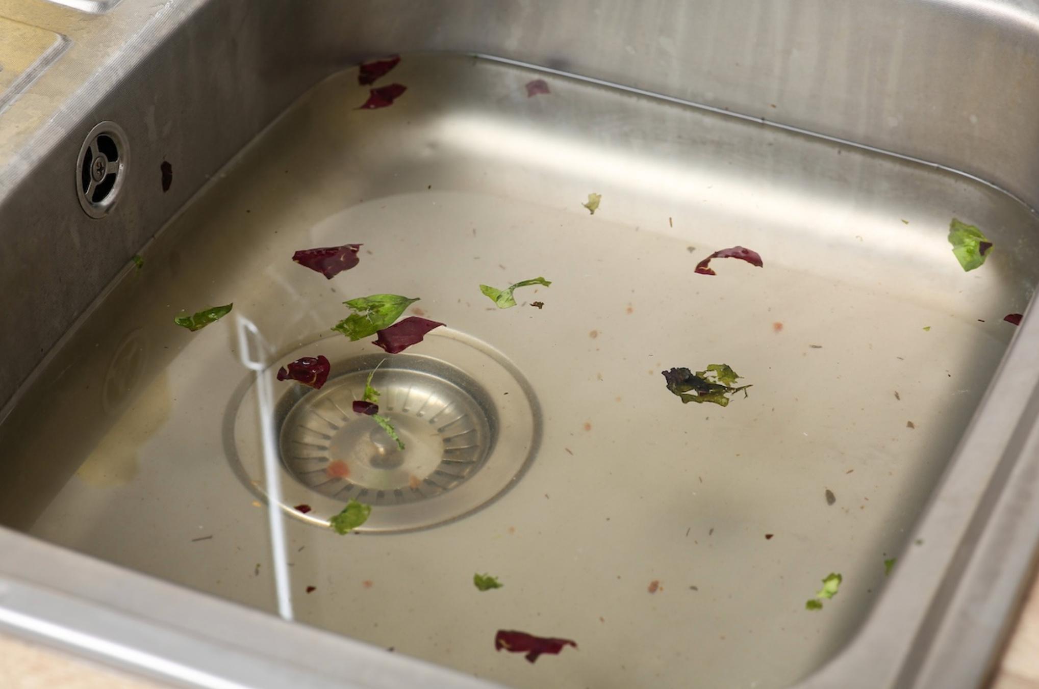 Showtime Express Plumbing Image