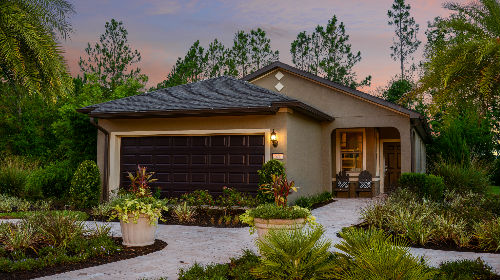 Del Webb Orlando Photo