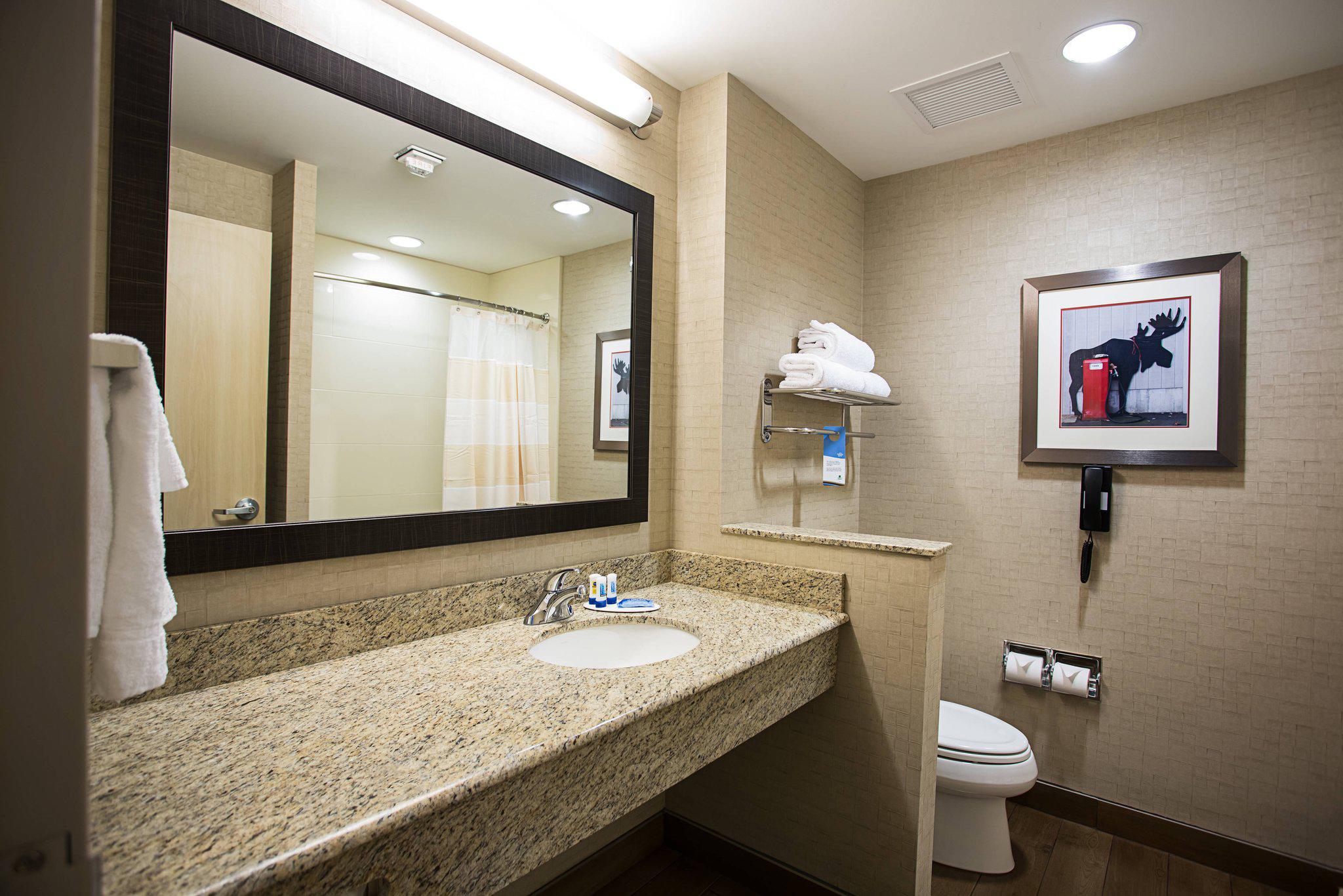 Fairfield Inn & Suites by Marriott Moscow Photo