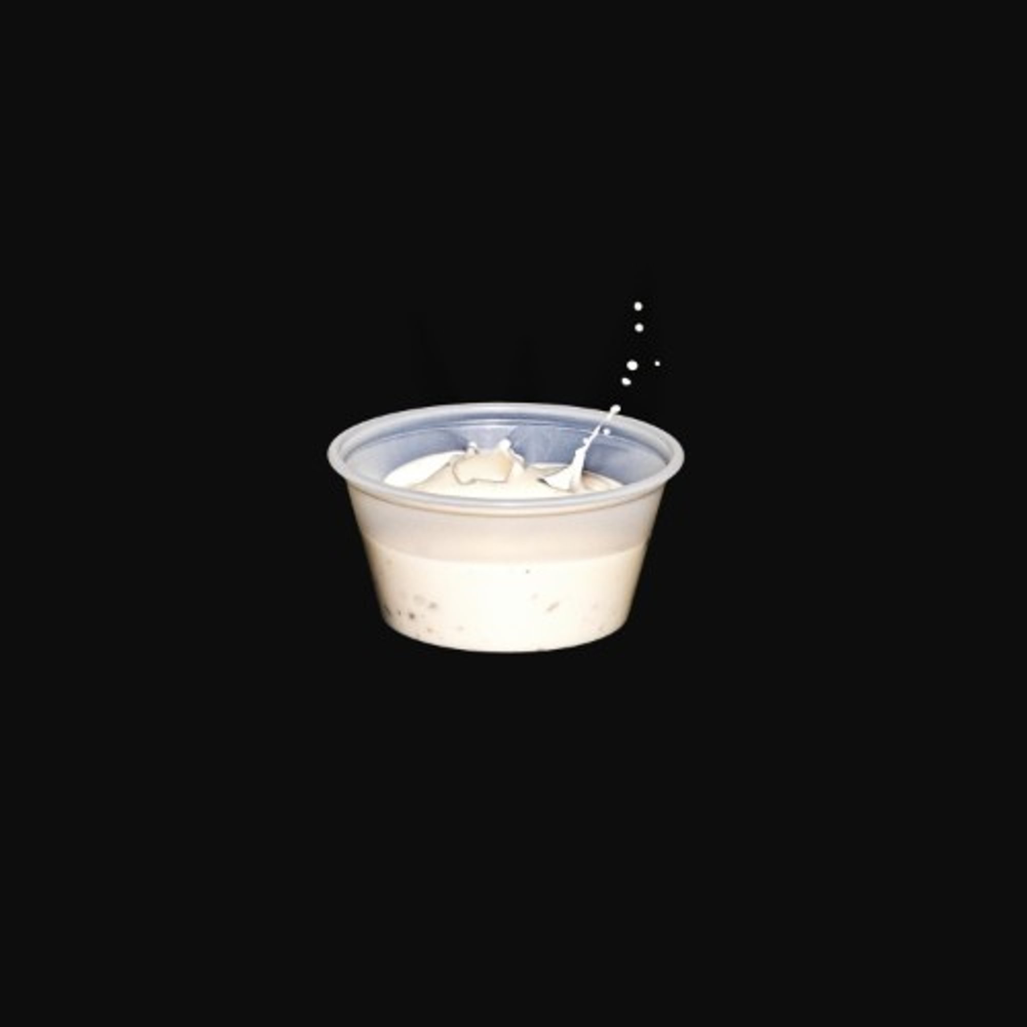 Garlic Aioli