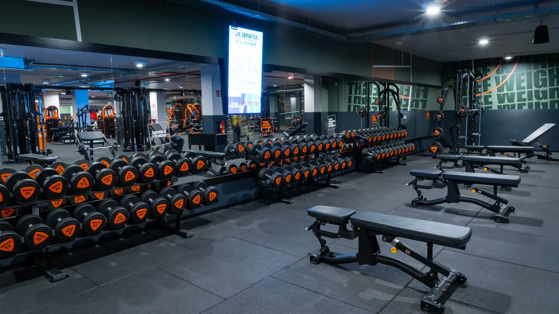 Galería de imágenes