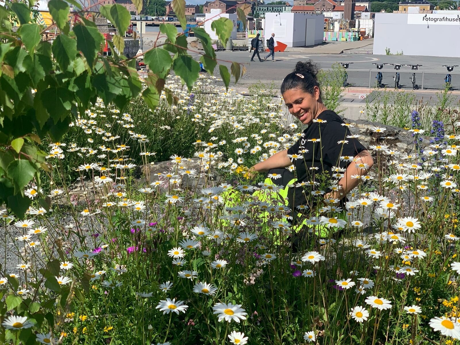 Galería en miniatura