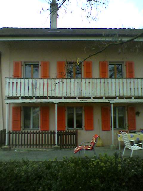Galerie-Thumbnail