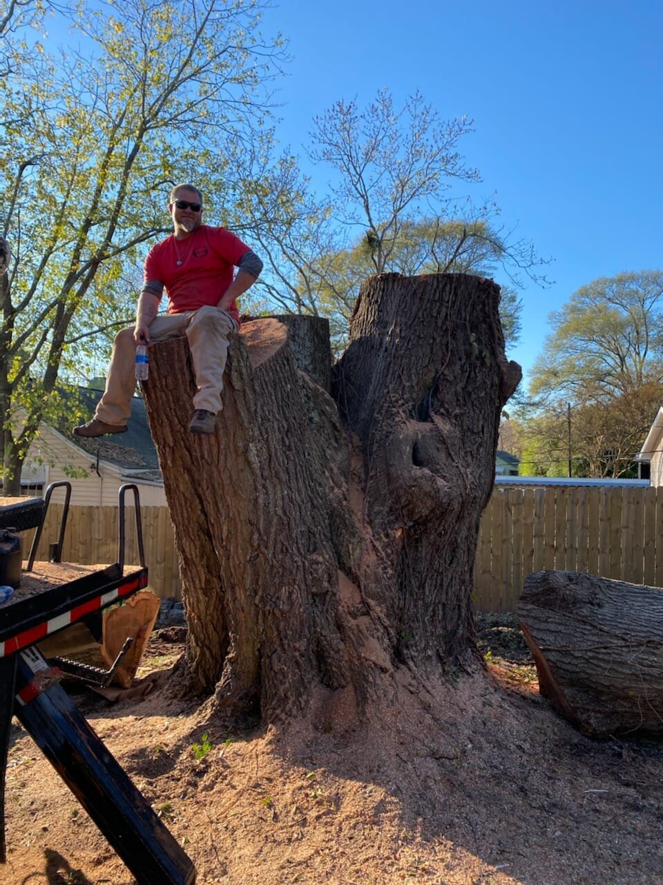 ALPHA TREE CARE LLC Image