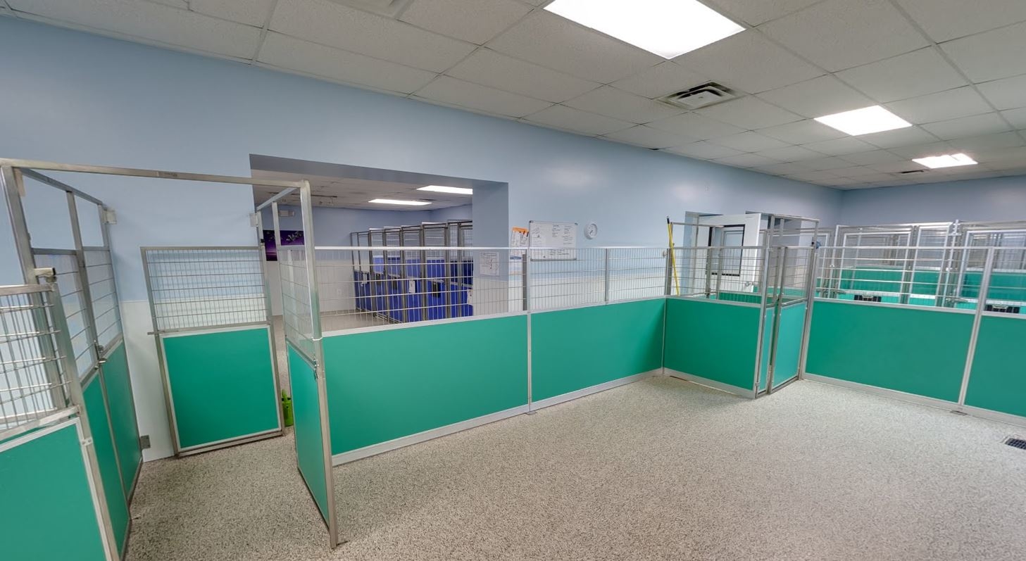 Puppywood Pet Resort - Pet Boarding - Cincinnati, OH 45255