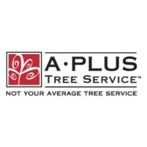 A Plus Tree Service Logo