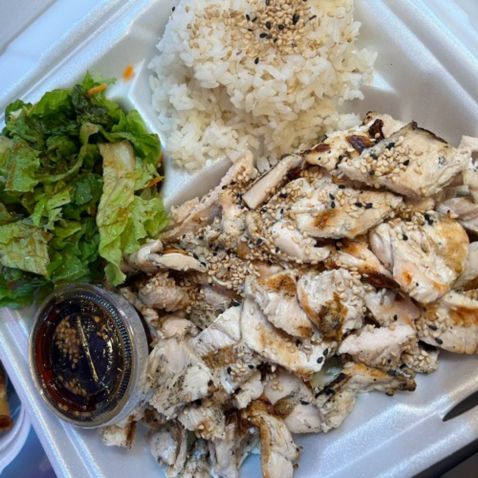TERIYAKI CHICKEN PLATE