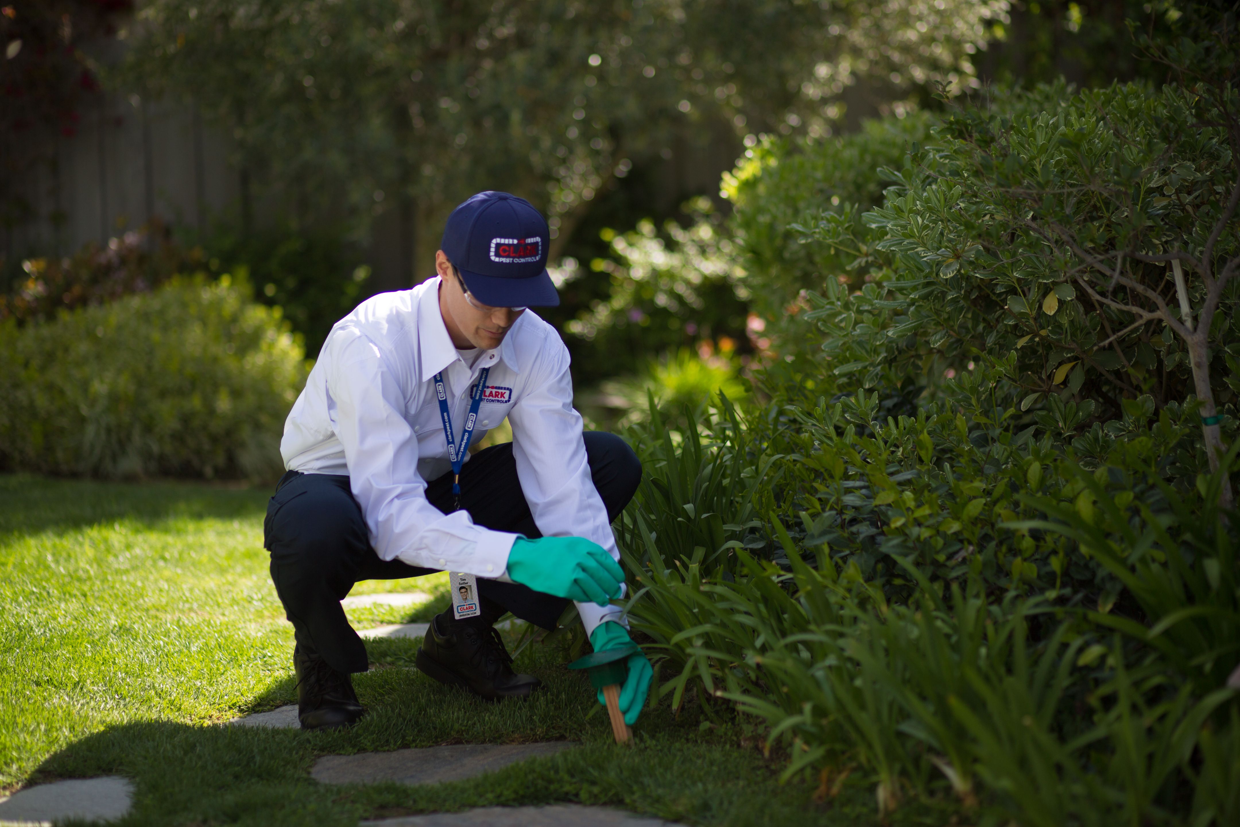 Clark Pest Control offers: Residential Pest Control, Commercial Pest Control, Lawn & Garden Services.