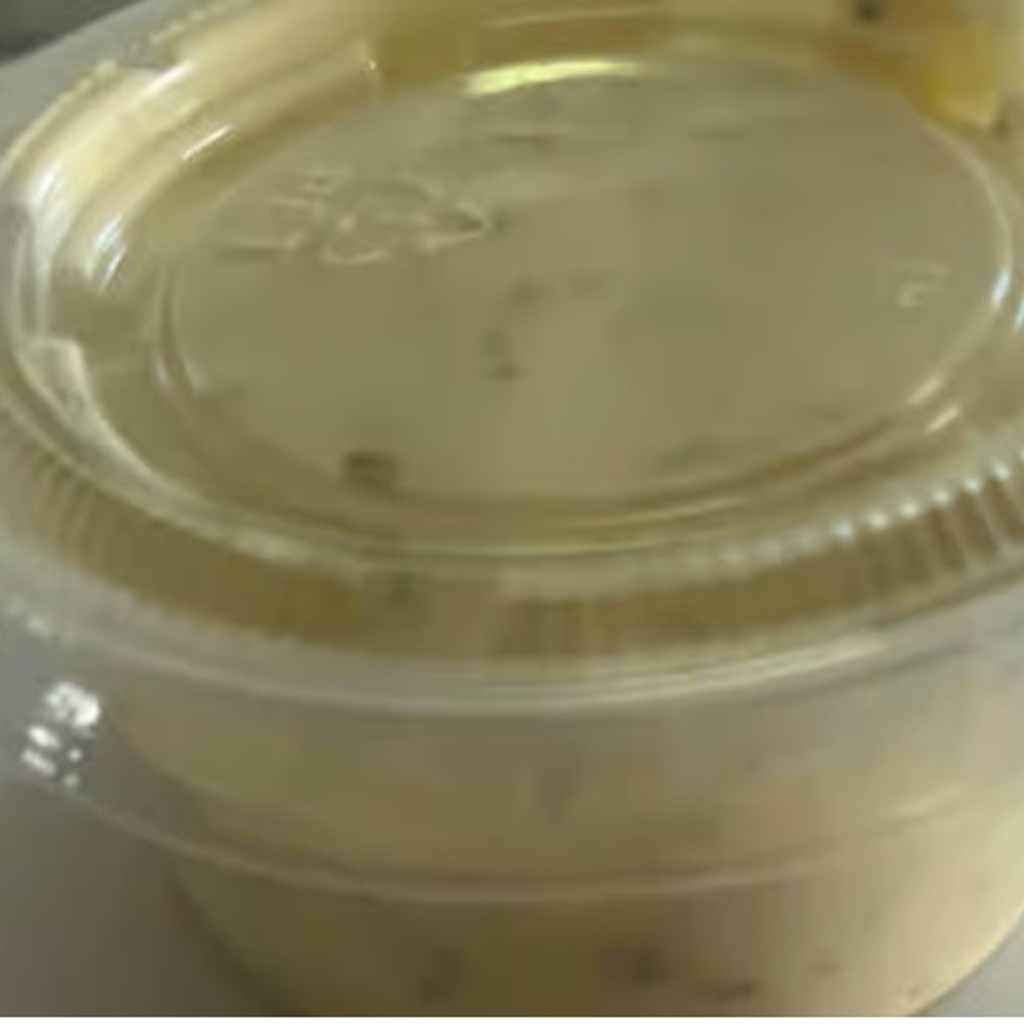 Side Tartar
