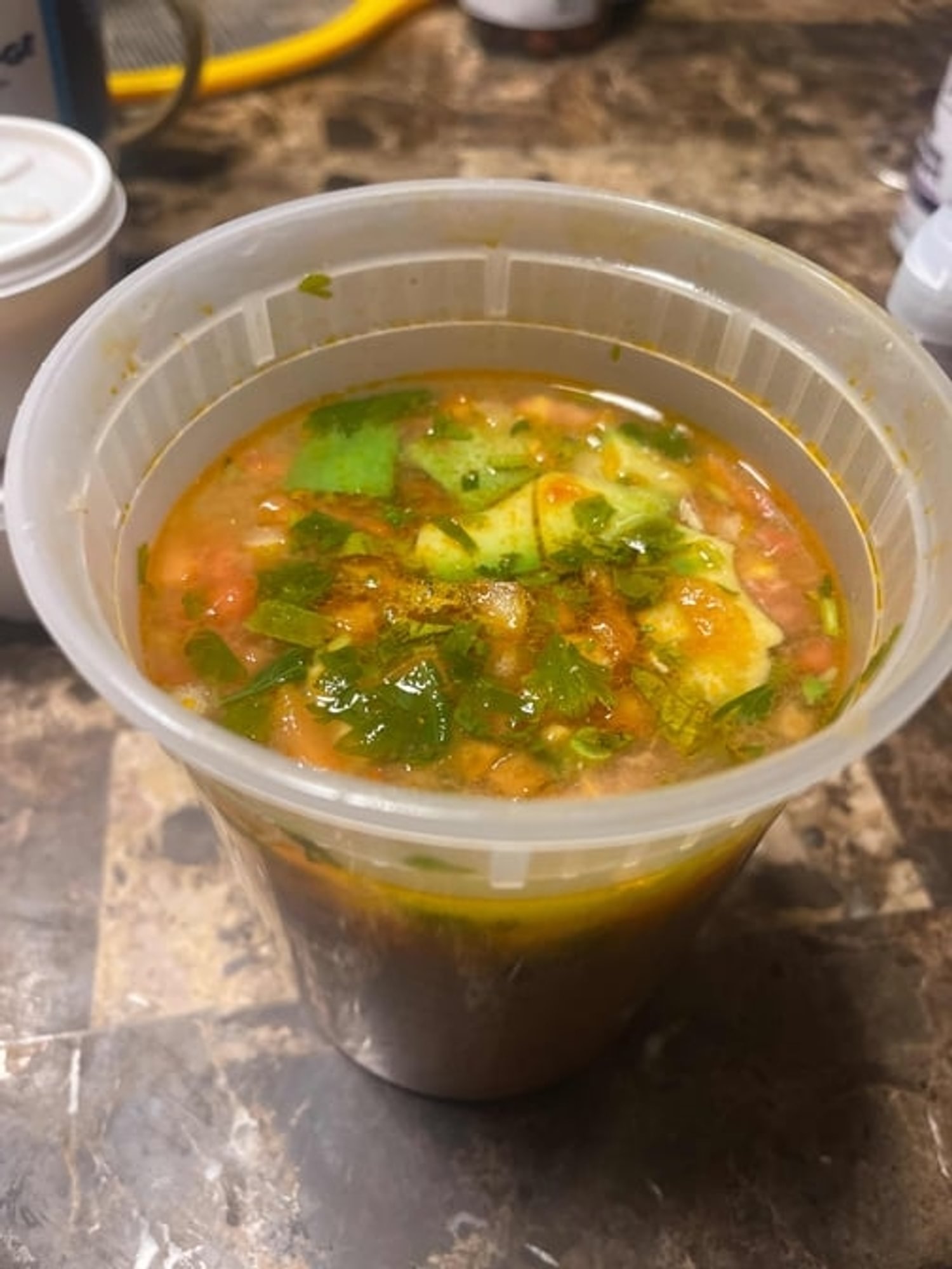 Chicken Soup / Sopa de Pollo