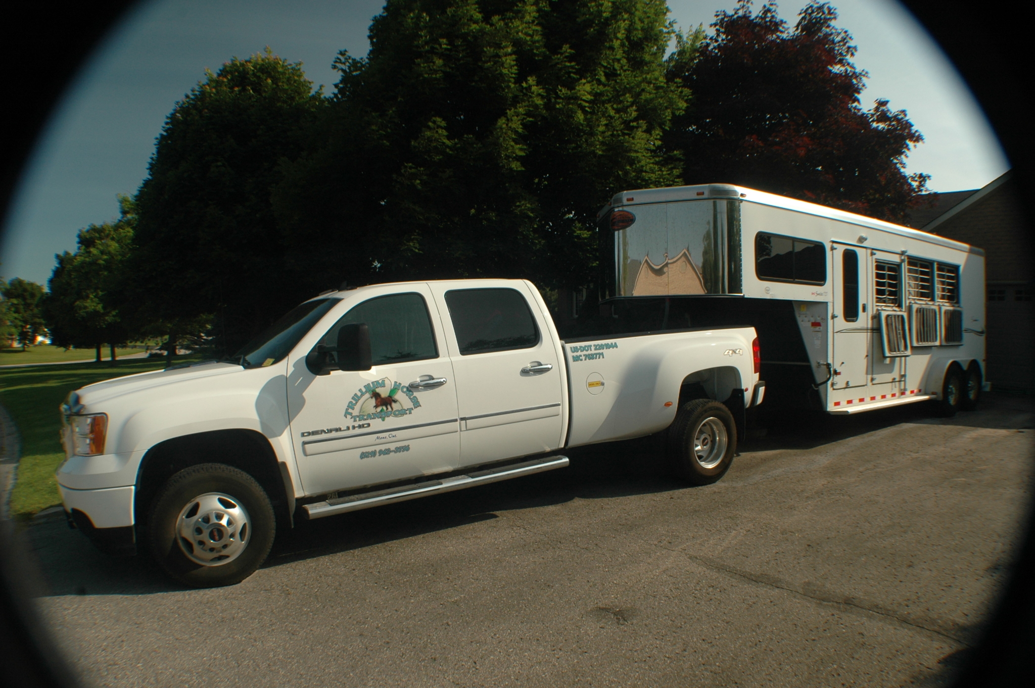 Trillium Horse Transport