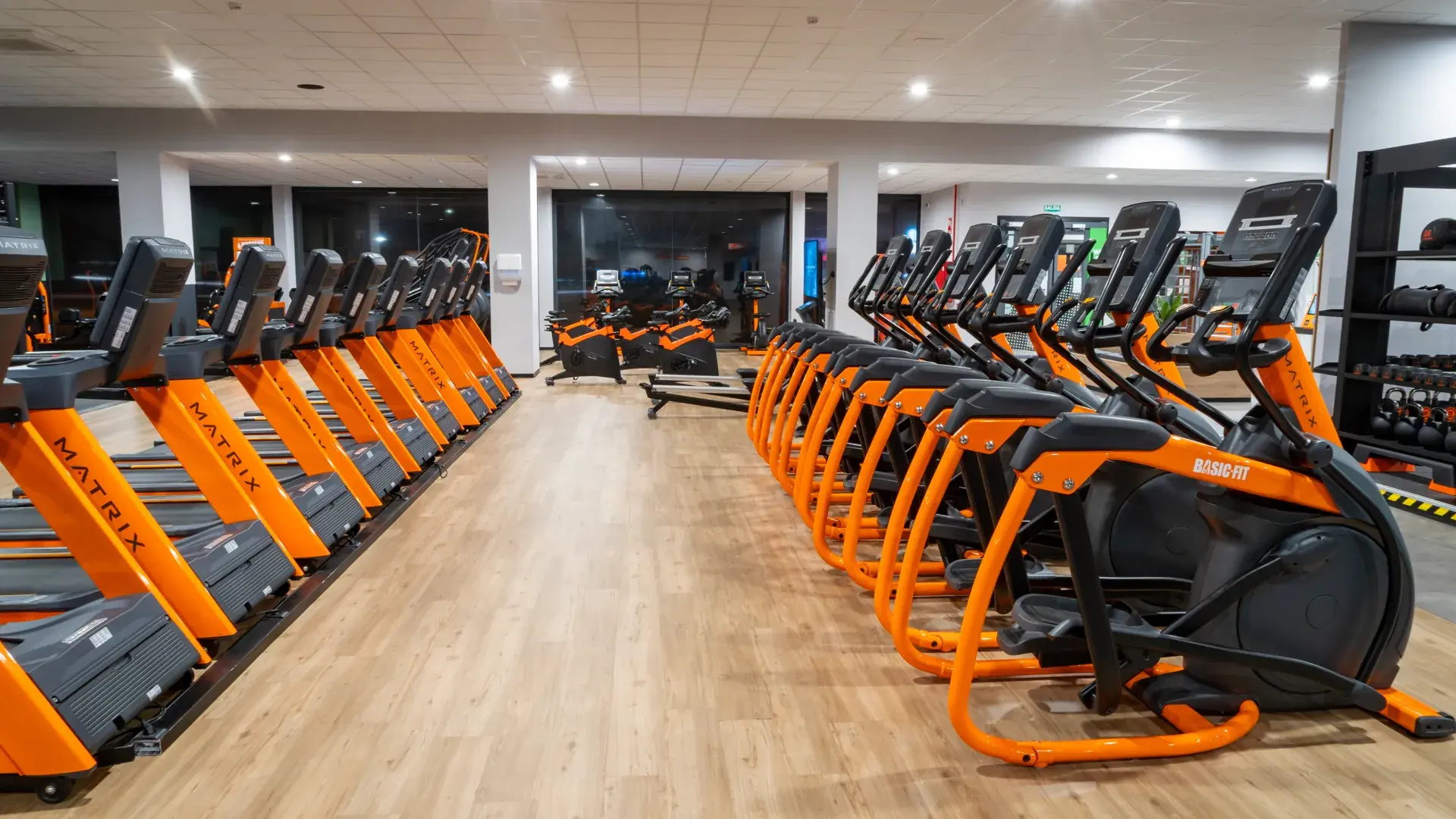 Galería en miniatura