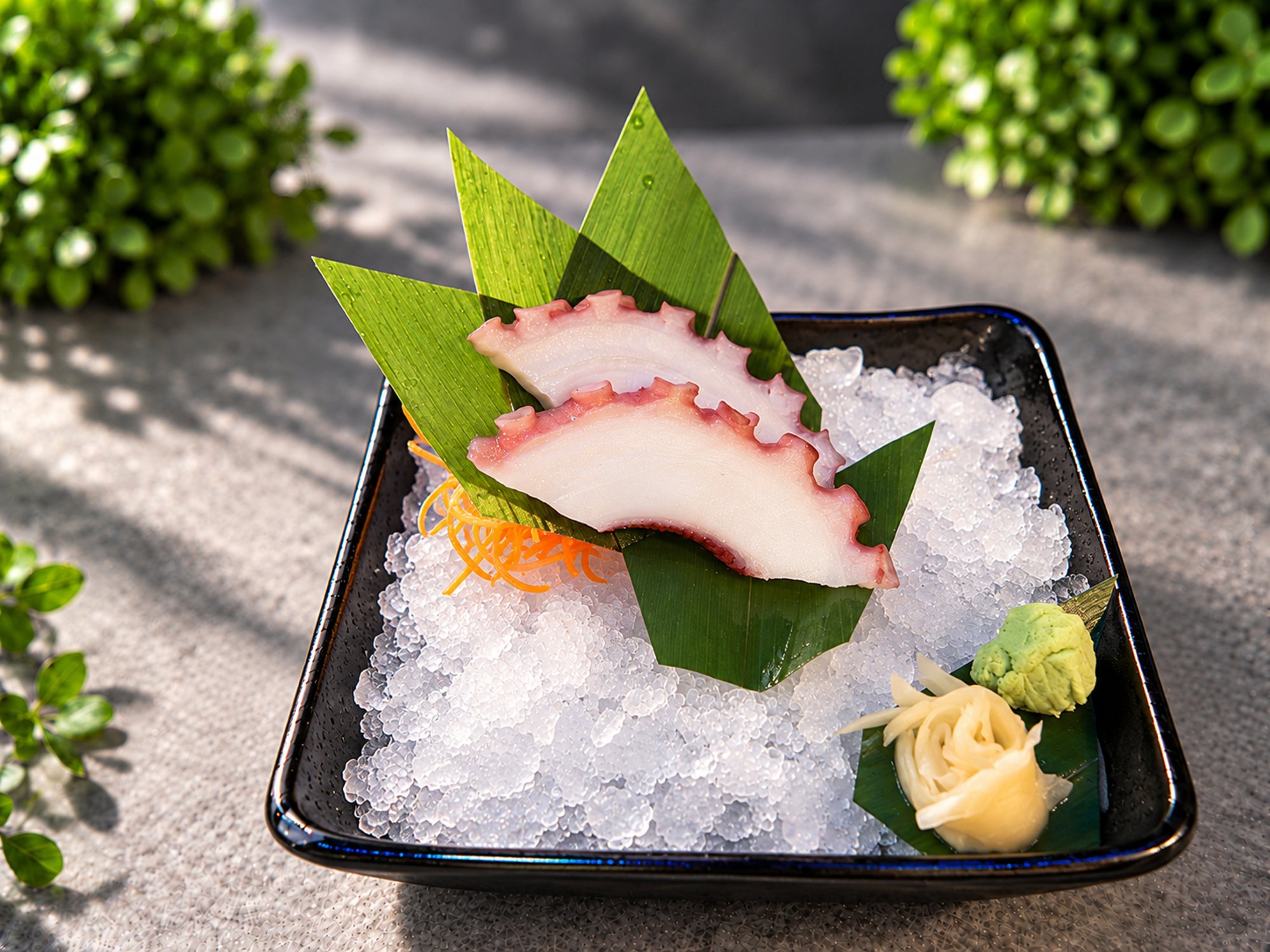Tako Sashimi