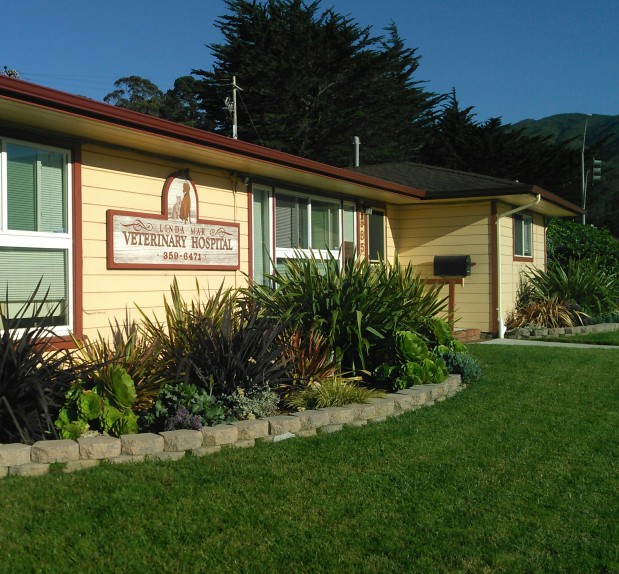 Linda Mar Veterinary Hospital Image