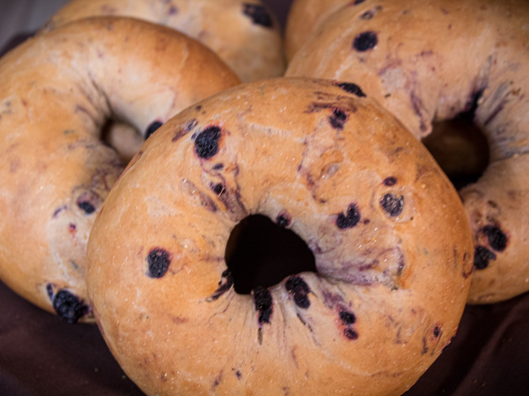 GLUTEN FREE DOZEN (12)+2 TUBS CREAM CHEESE