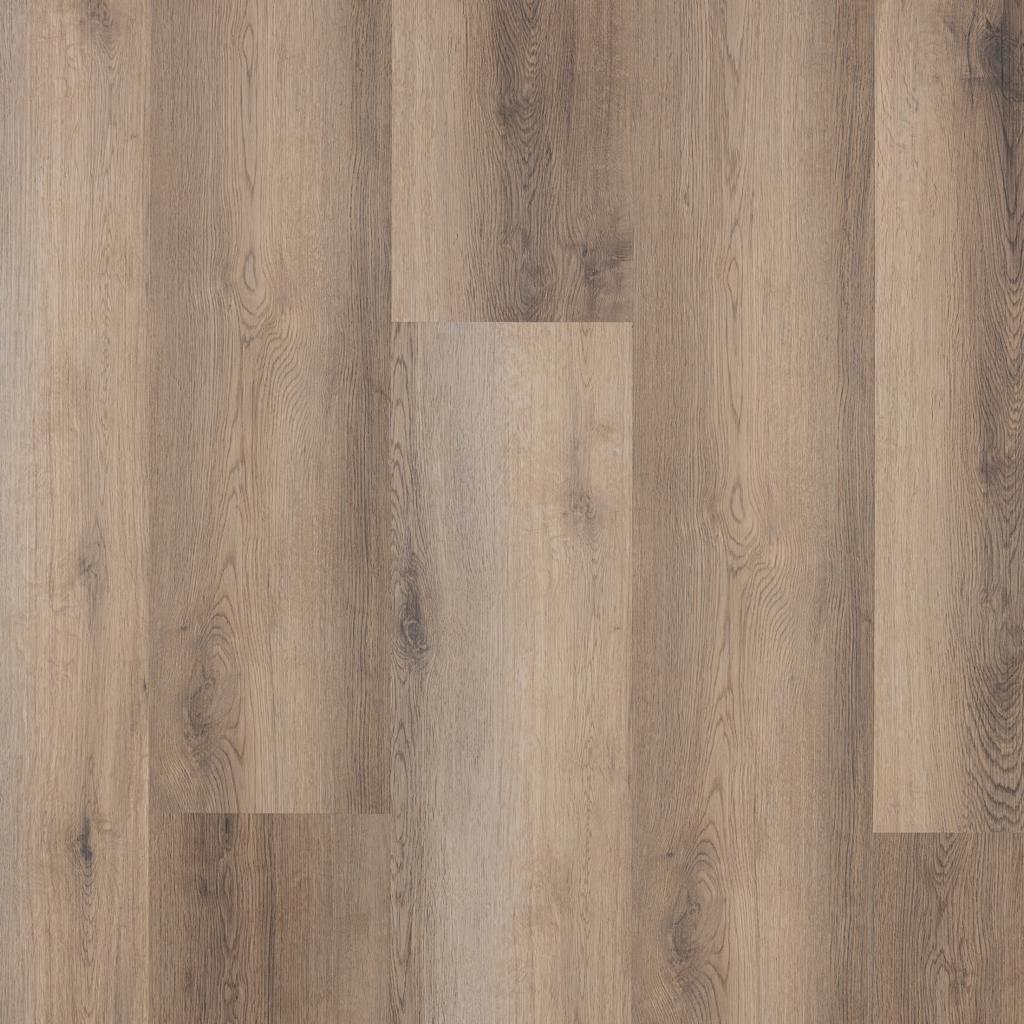 The European Company Image