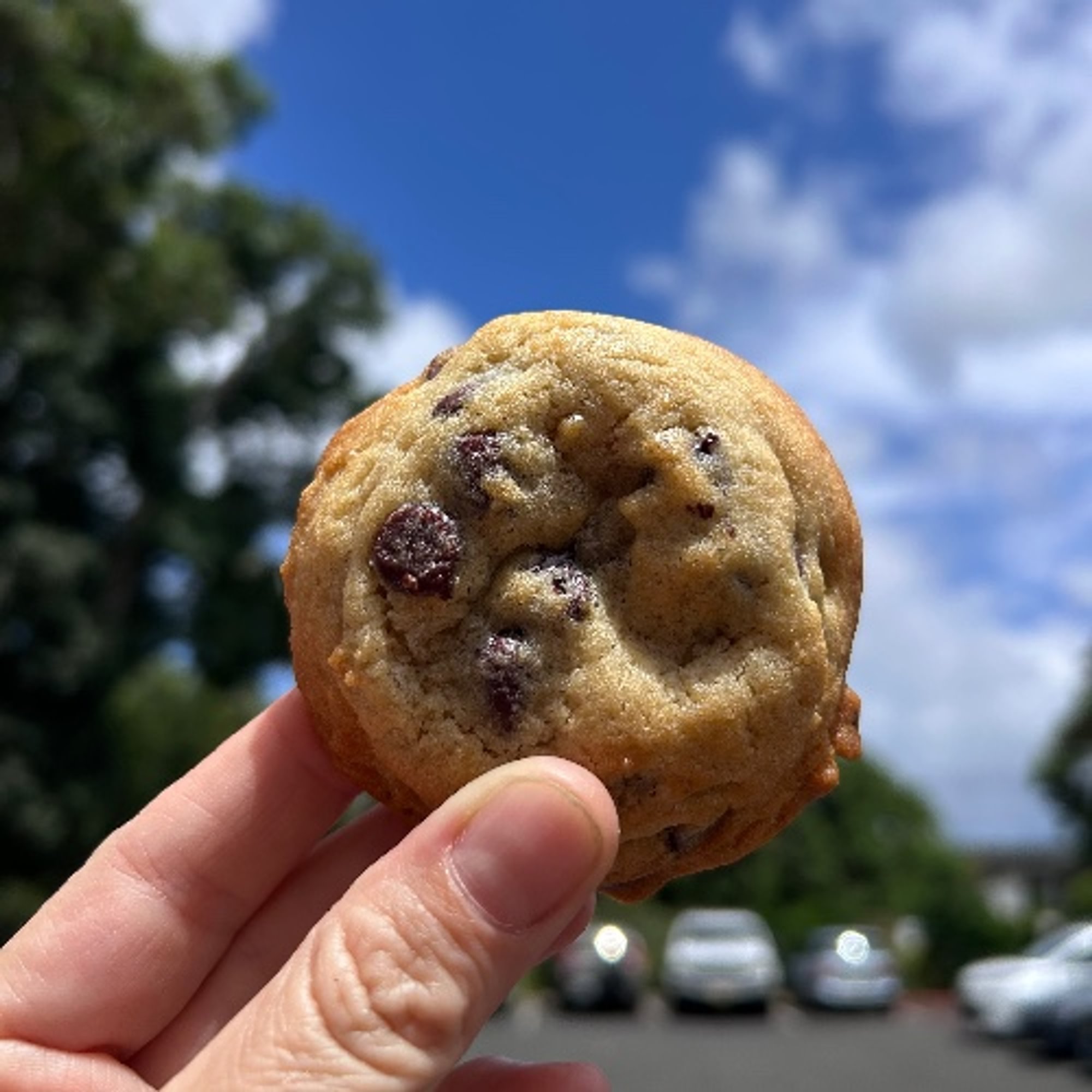 Chocolate Chip Cookie