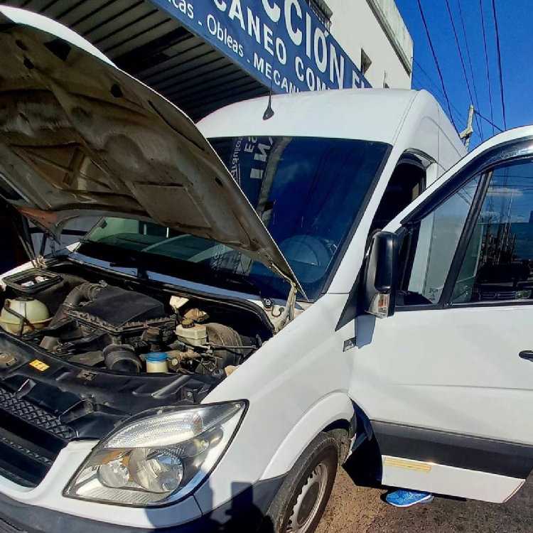 Galería en miniatura