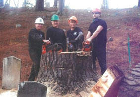 Images Keystone Tree Specialists