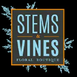  Stems & Vines Floral Boutique - Burnsville