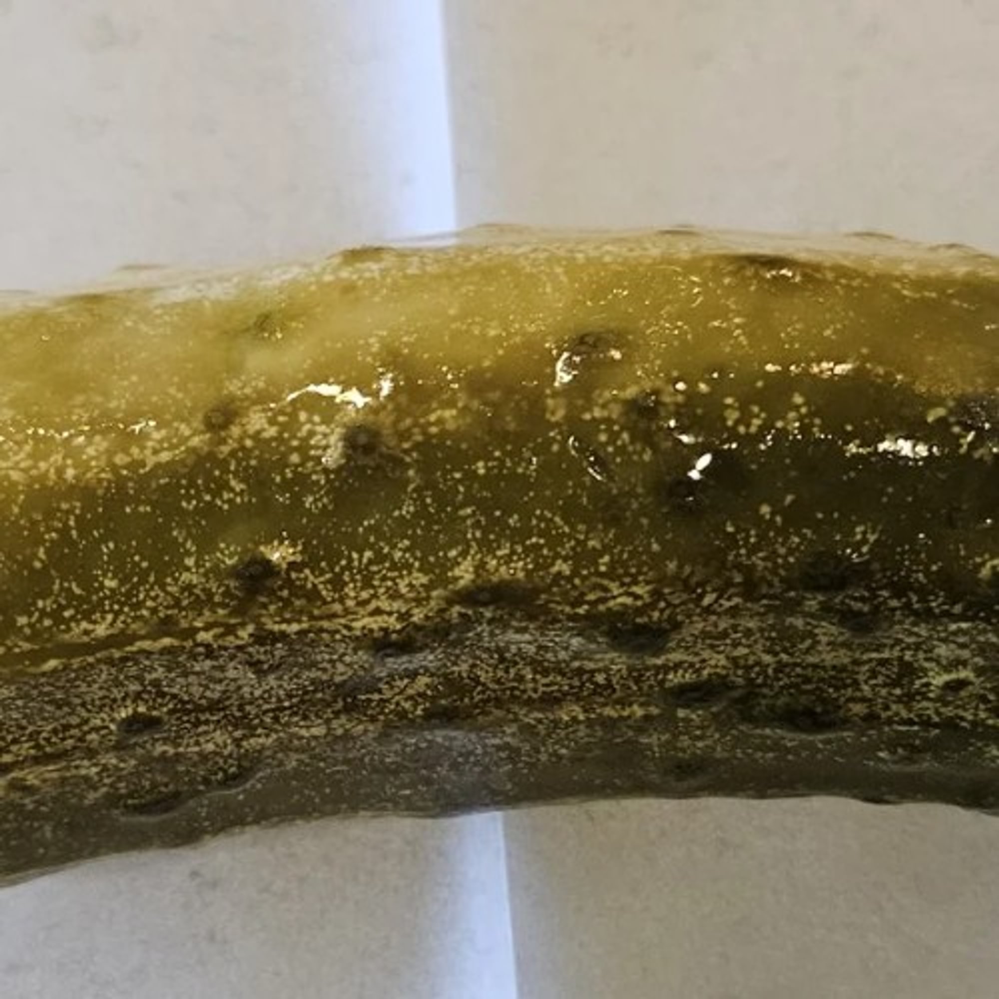 Deli Pickle