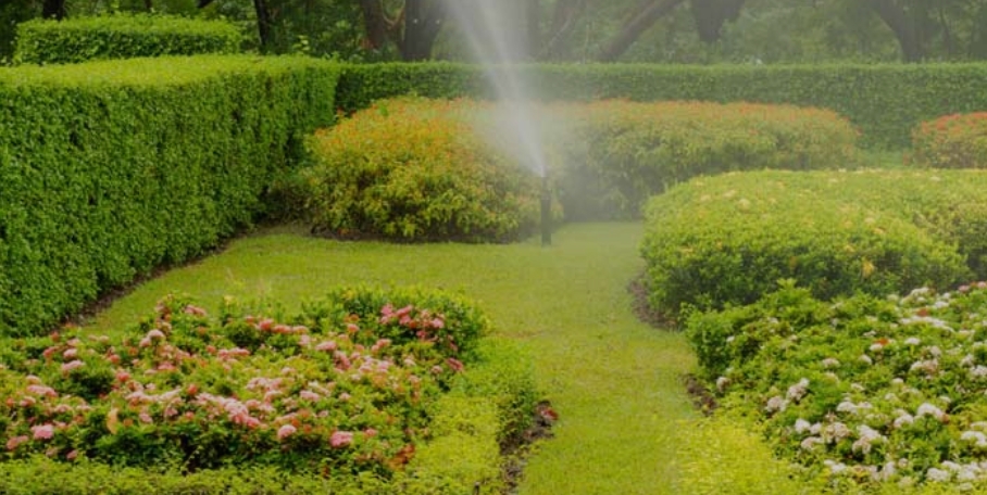 Irrigation Systerms