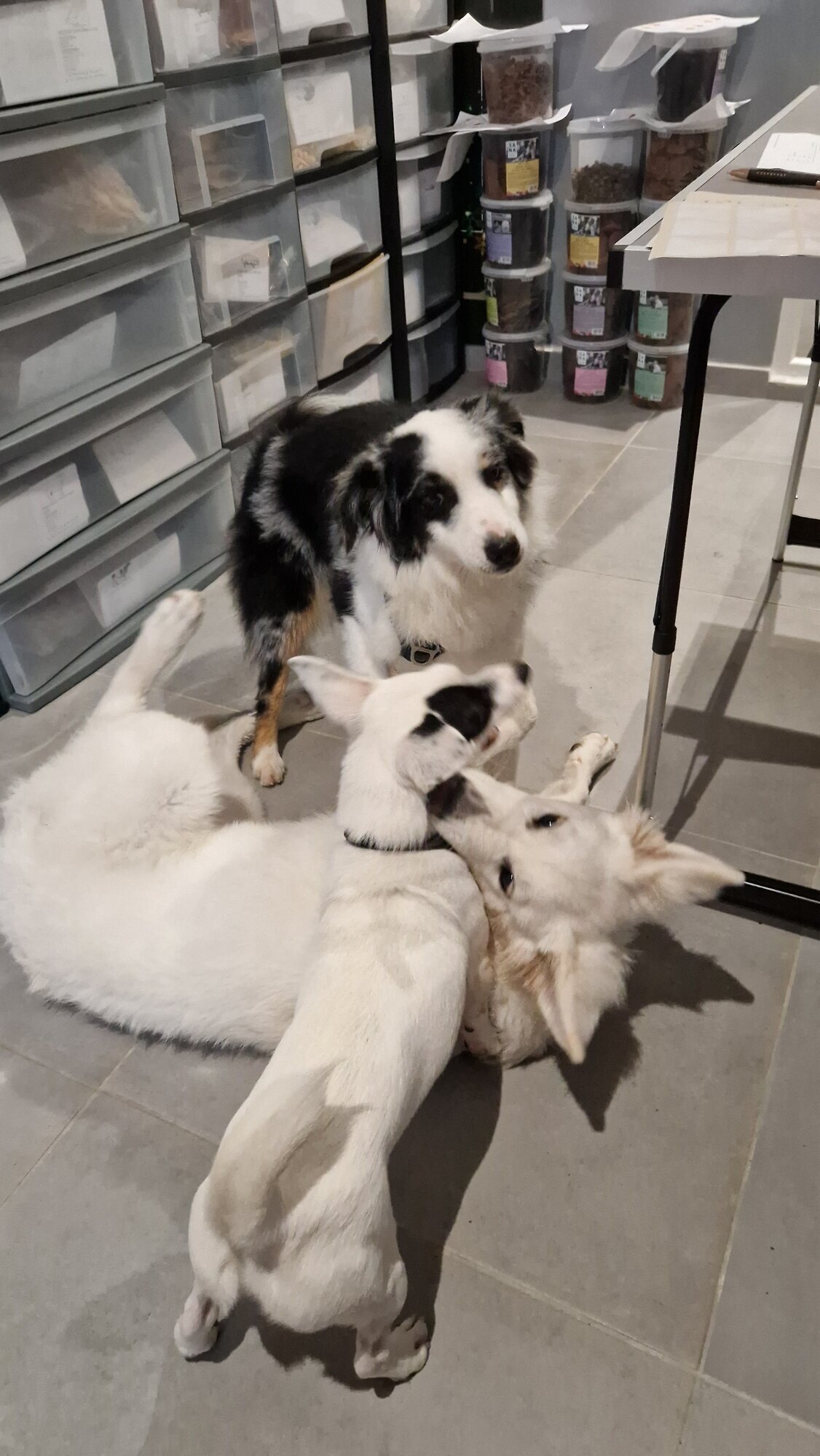 Miniature de la galerie