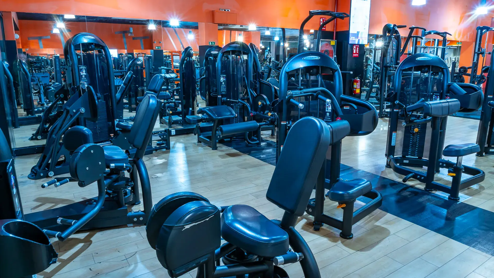 Galería de imágenes