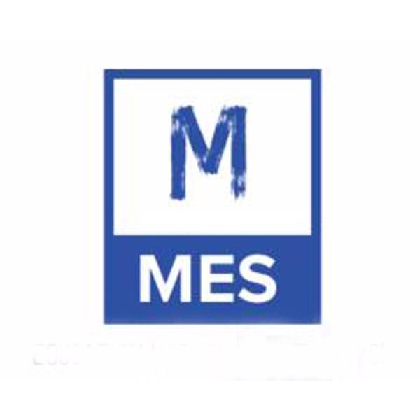 MetaBiz Educational Services Logo