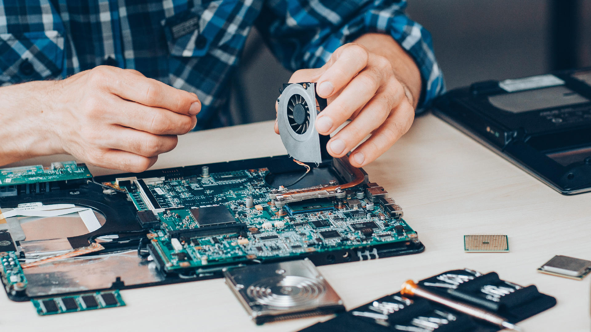 Galería en miniatura