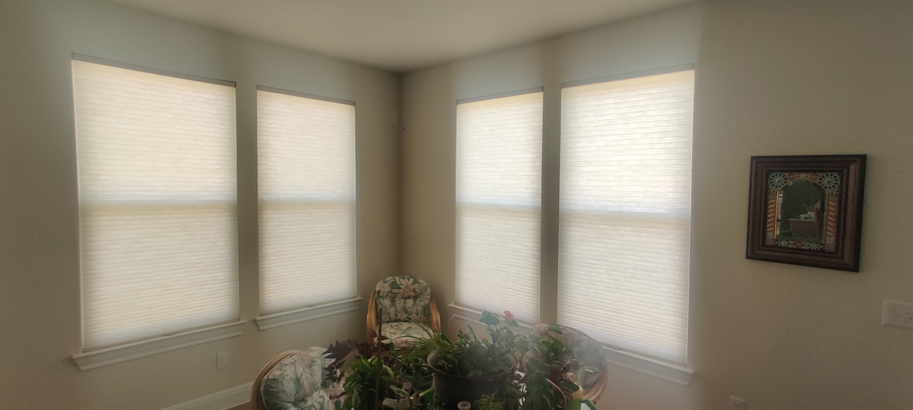 Light Filtering Cellular/Honeycomb Shade in Georgetowwn