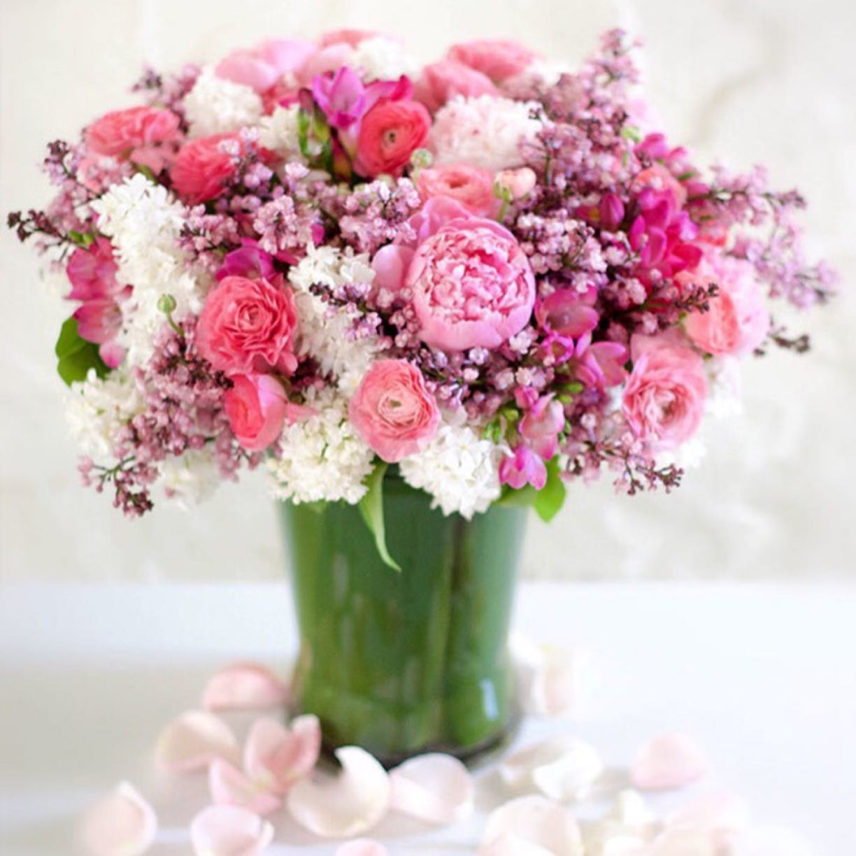 Orchid Republic Image