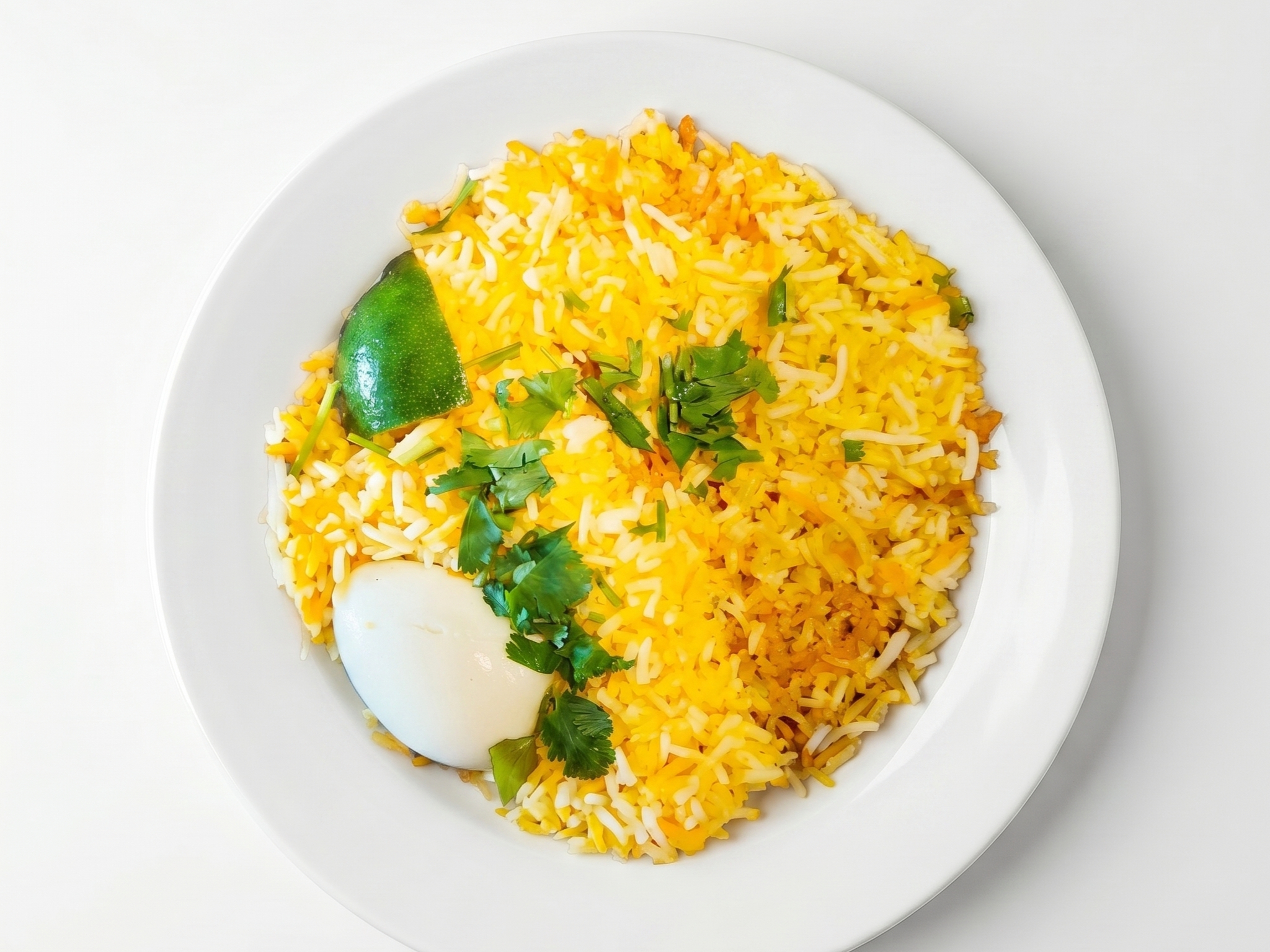 "Vaanga" Special Chicken Biryani (Boneless Chicken Biryani)