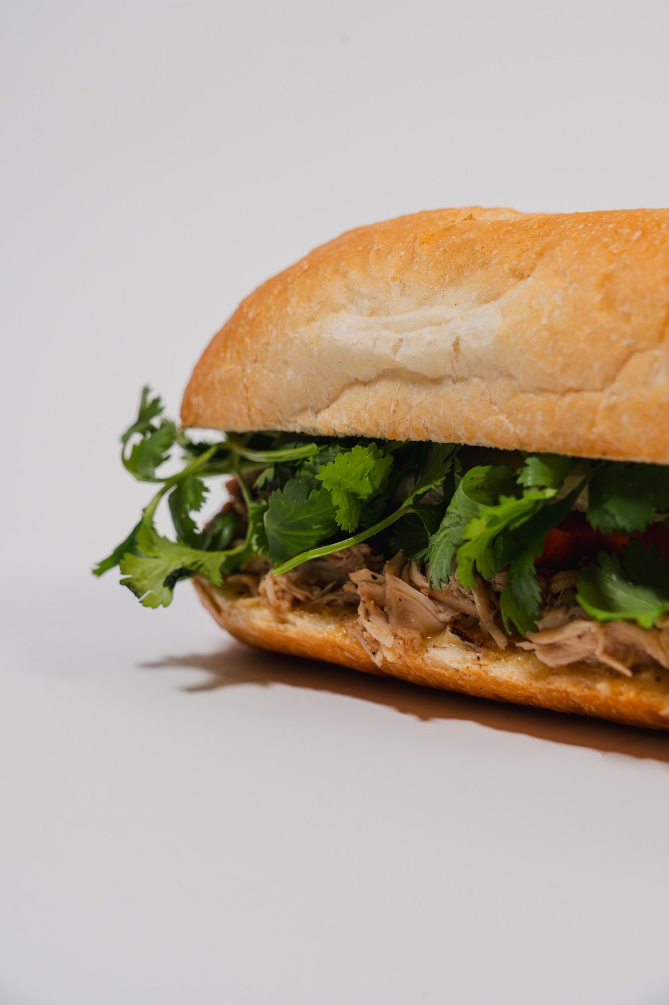 Shredded Chicken