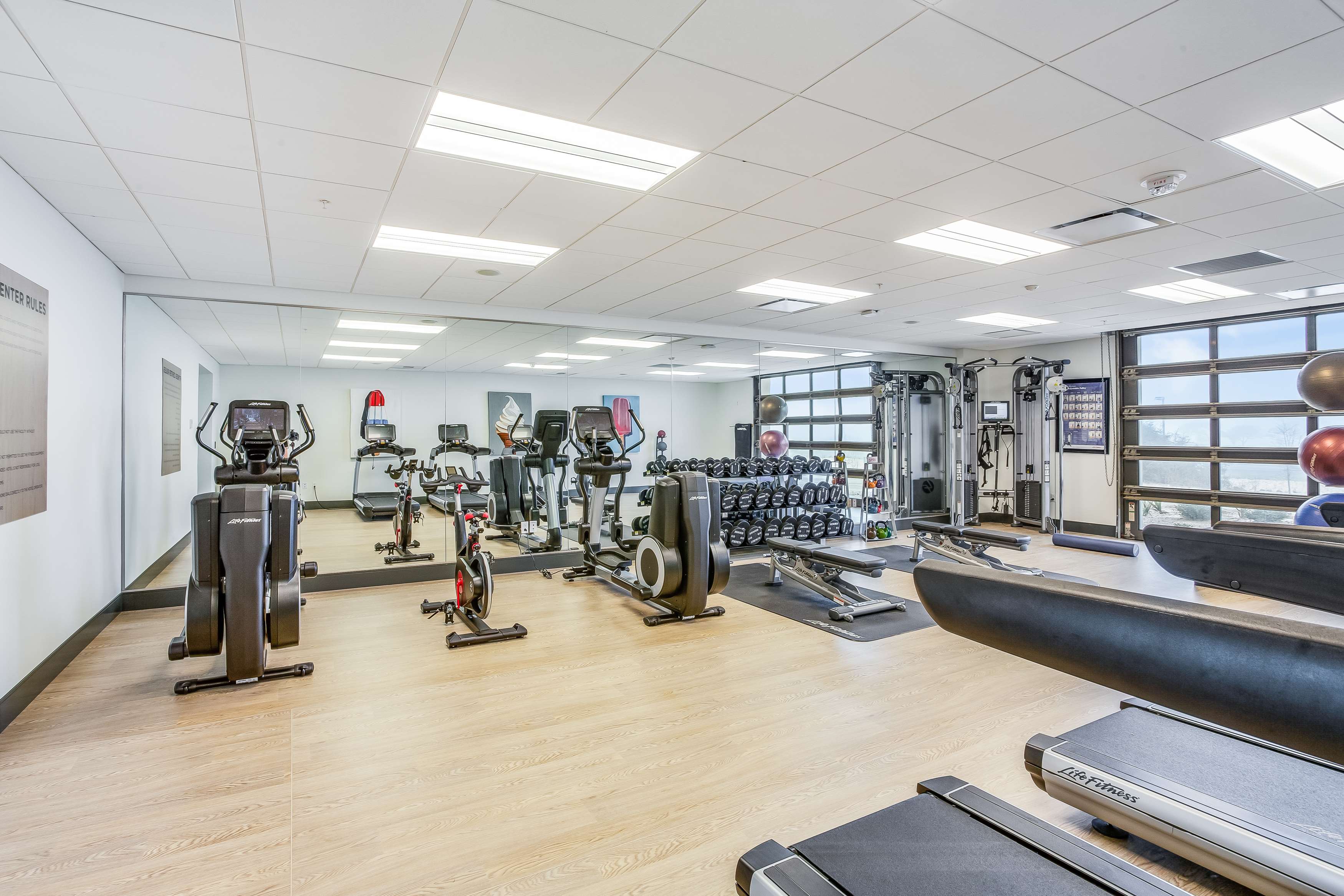 Health club  fitness center  gym