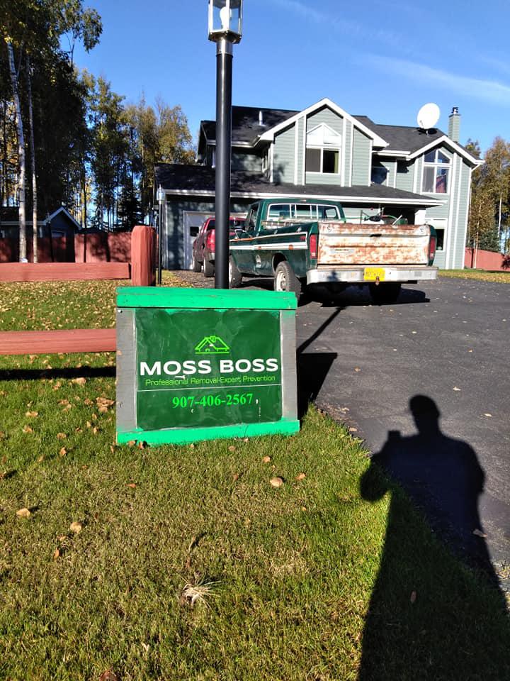 Moss Boss Photo