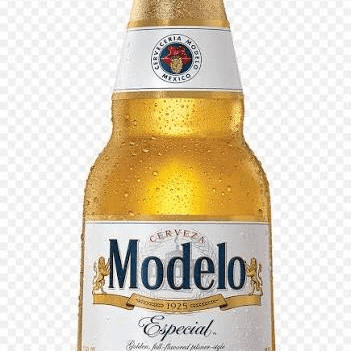 BTL Modelo Especial