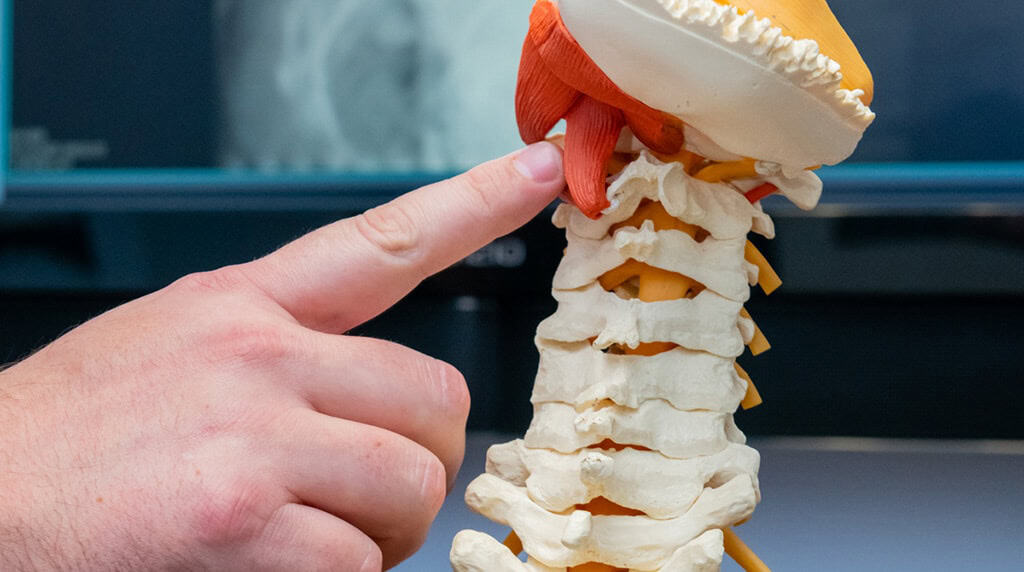 Chiropractic Services