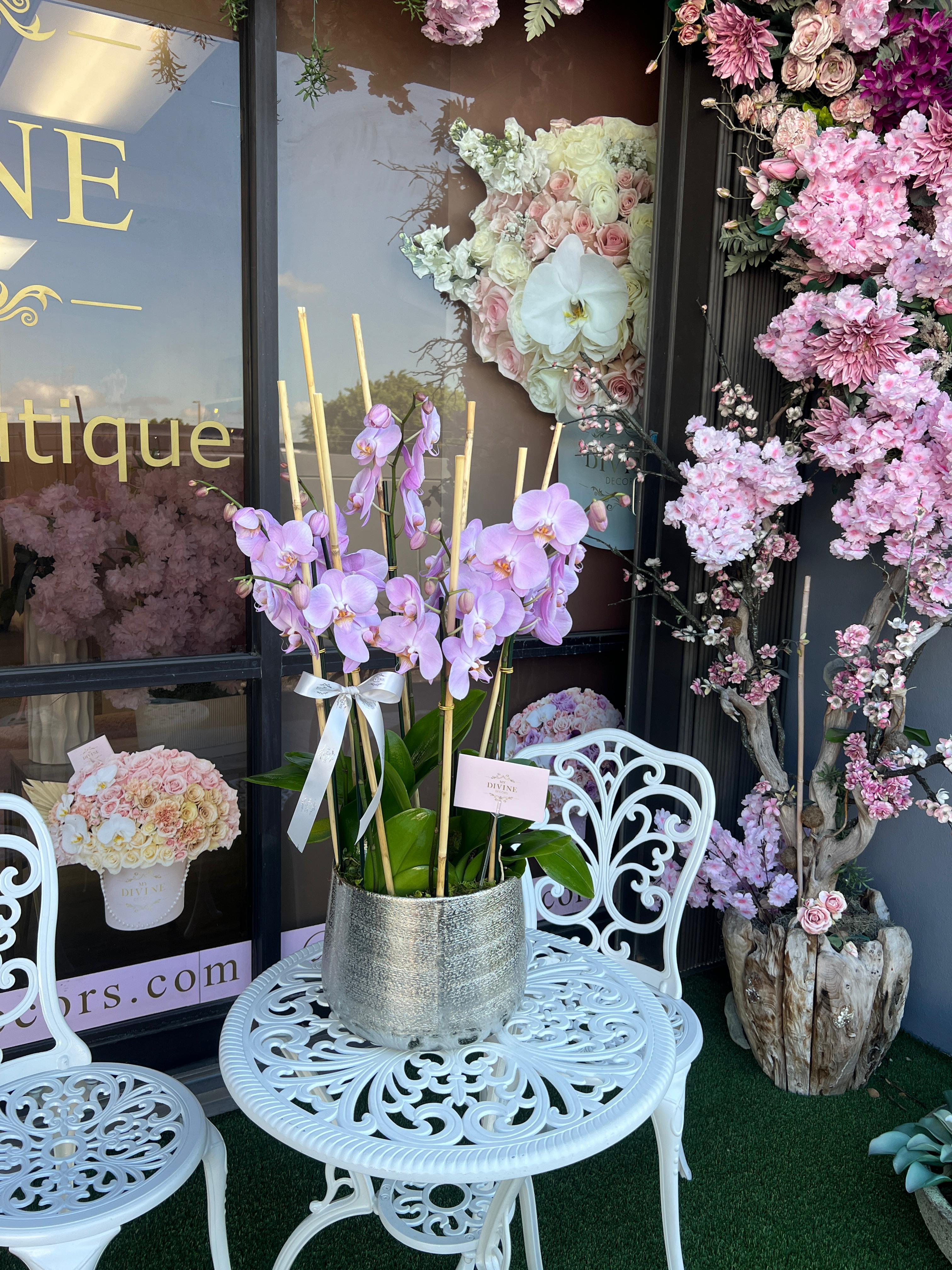 My Divine Decors LLC Image