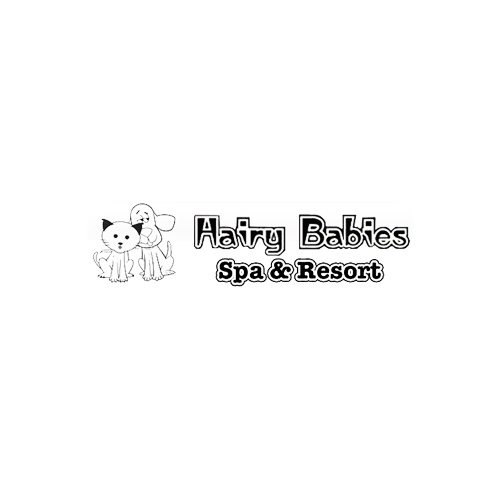 Hairy Babies Spa &amp; Resort Logo