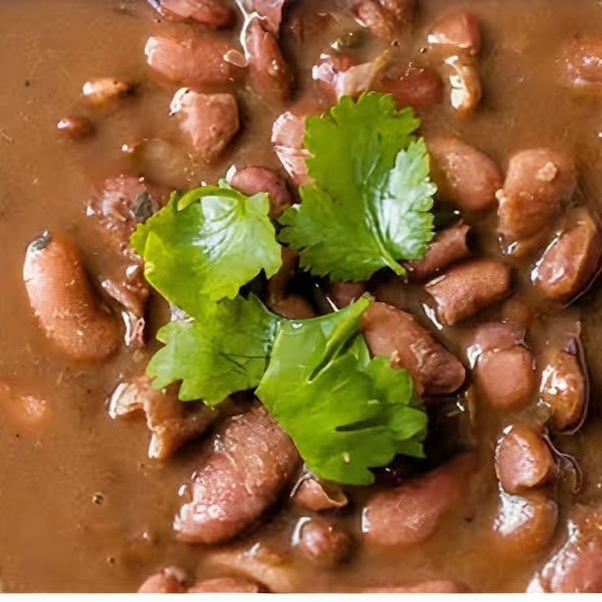 Habichuela (s)