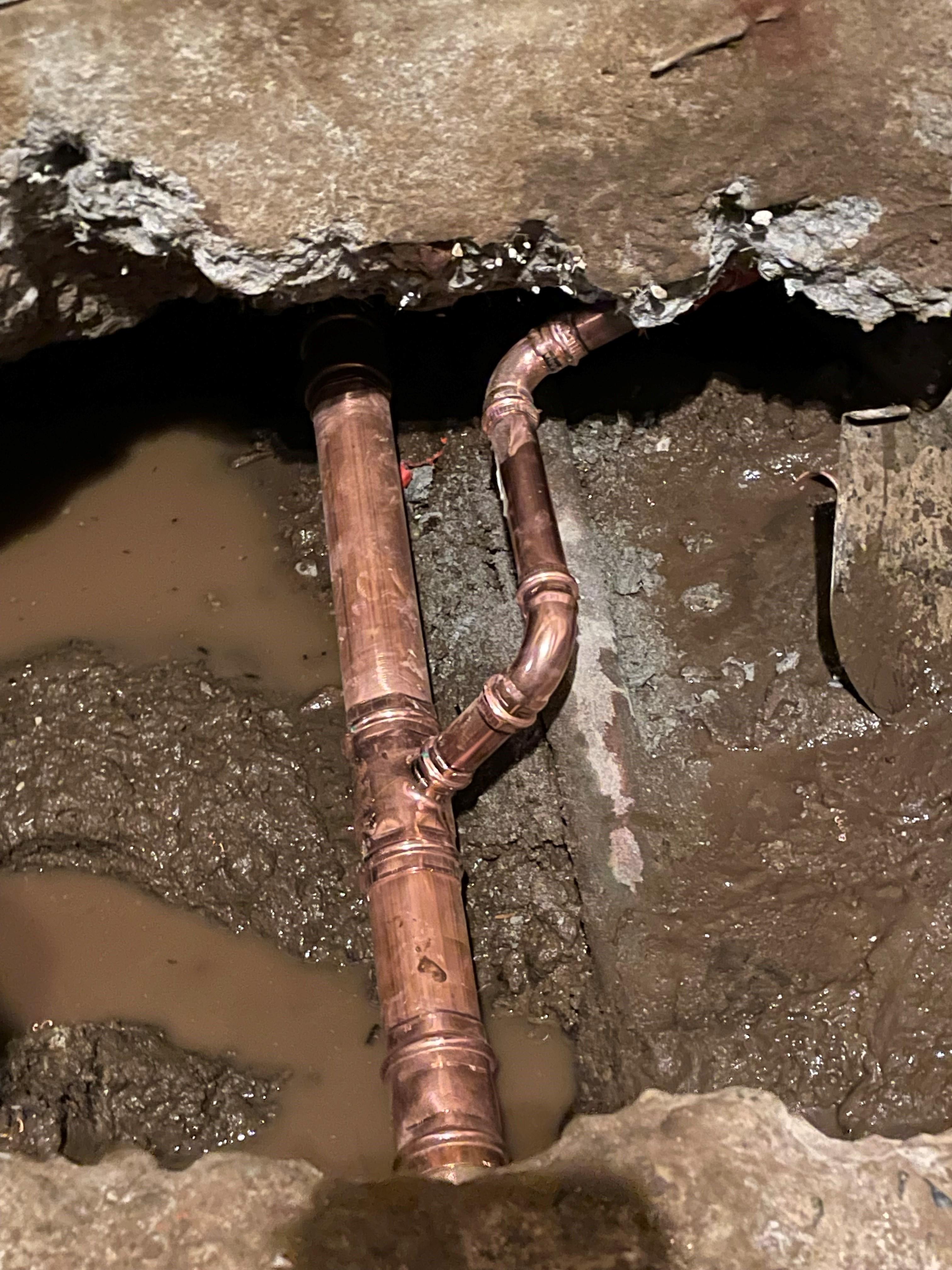 All Drain Solutions Image
