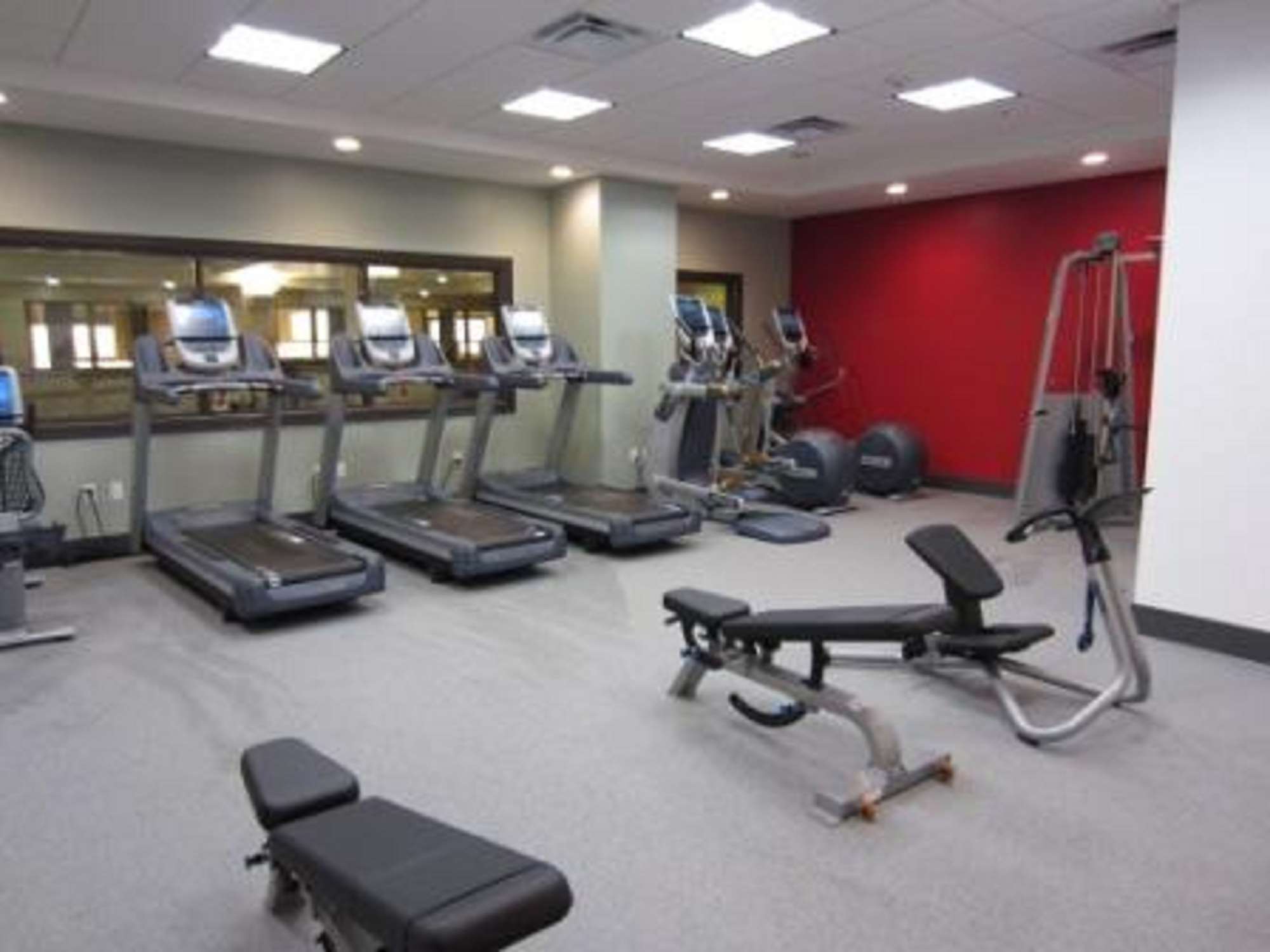 Health club  fitness center  gym