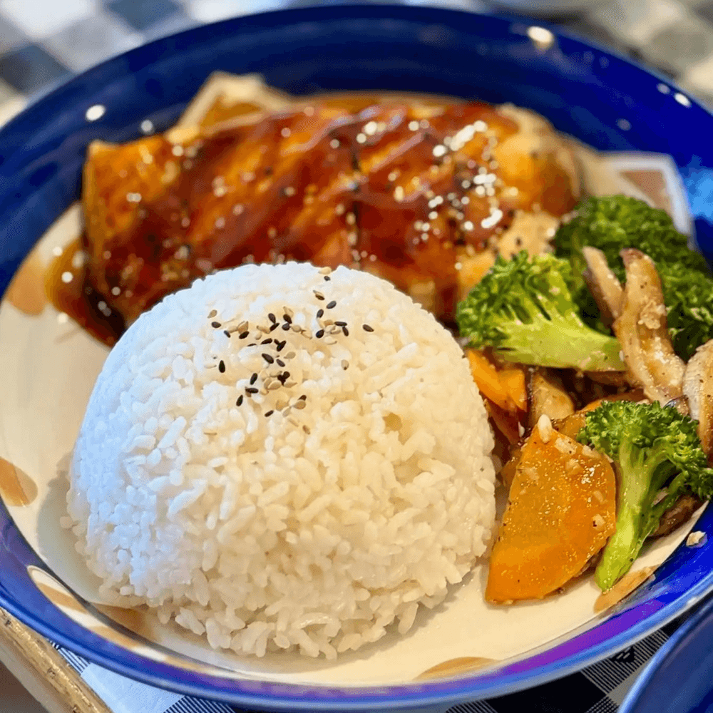Salmon Katsu Don