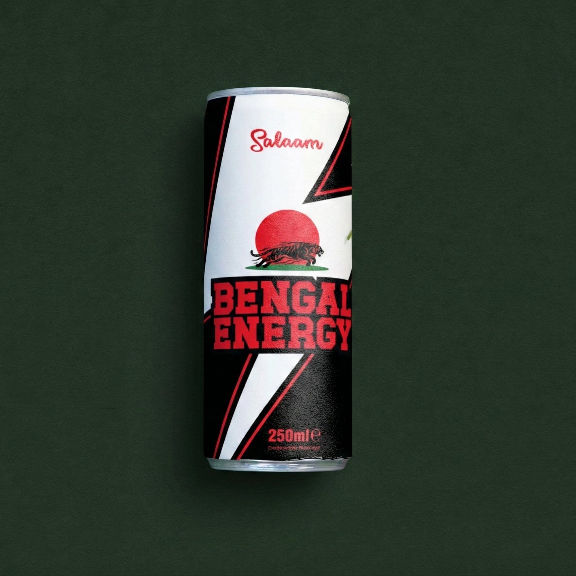 Salaam Energy