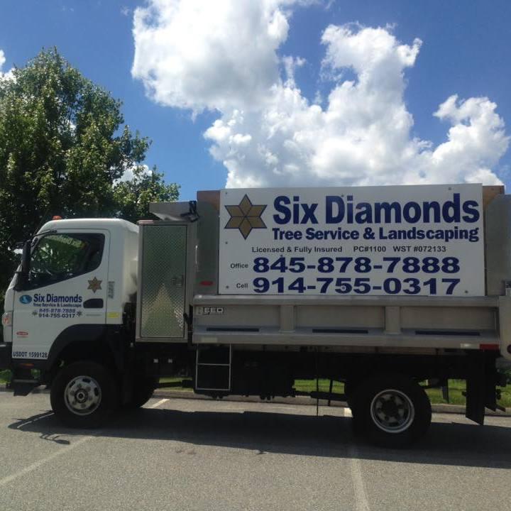 Six Diamonds Tree Services Photo