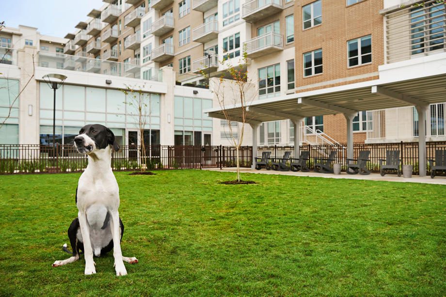 Camden McGowen Station Apartments Photo